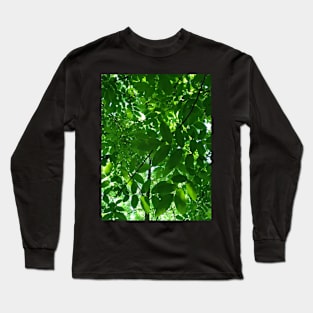 Green Leaves Above Long Sleeve T-Shirt